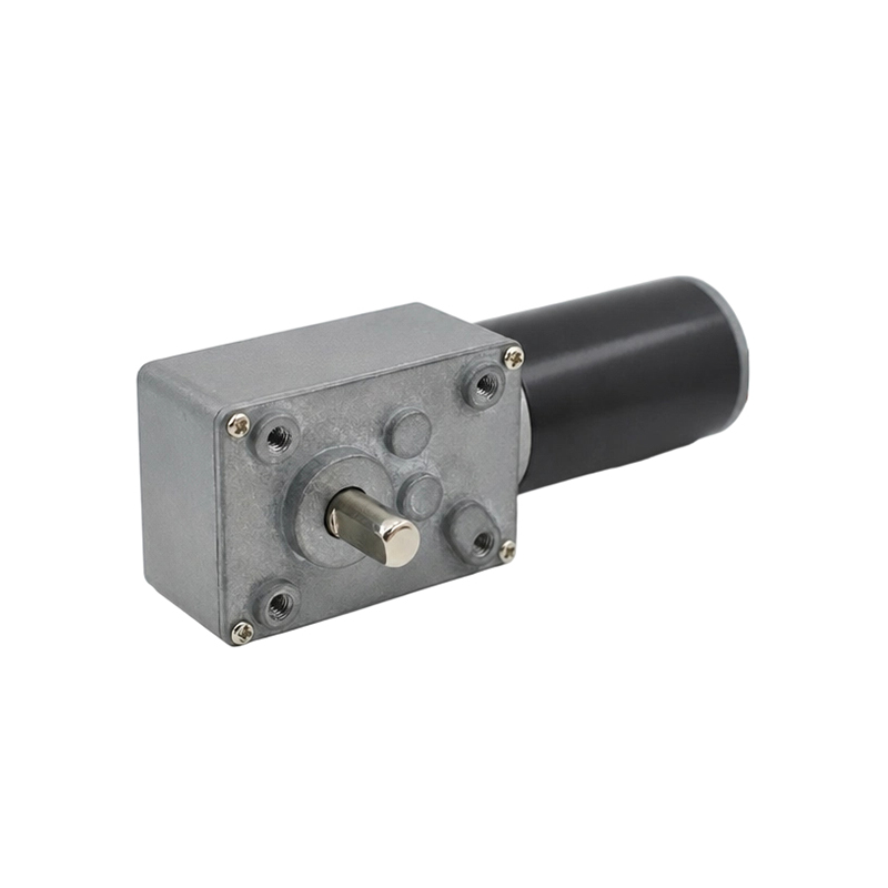 Động cơ bánh răng sâu 4058WG31S